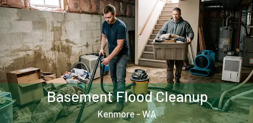  Basement Flood Cleanup Kenmore - WA