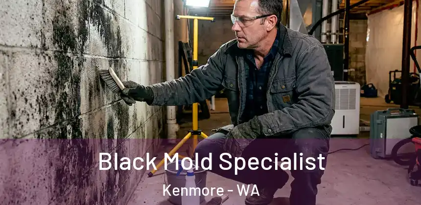  Black Mold Specialist Kenmore - WA