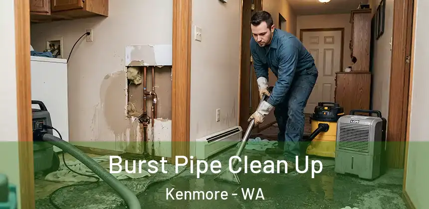  Burst Pipe Clean Up Kenmore - WA