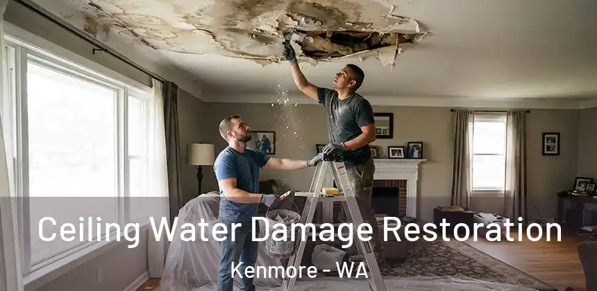  Ceiling Water Damage Restoration Kenmore - WA