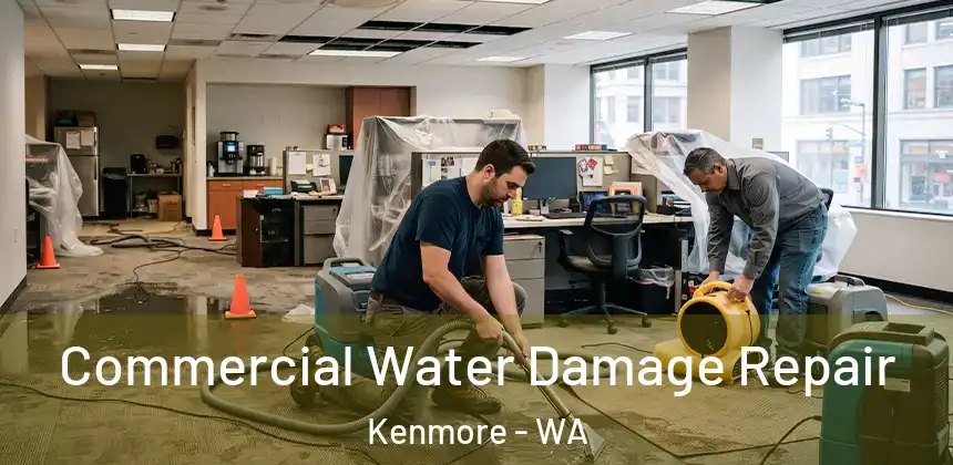 Commercial Water Damage Repair Kenmore - WA