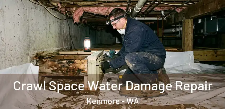 Crawl Space Water Damage Repair Kenmore - WA