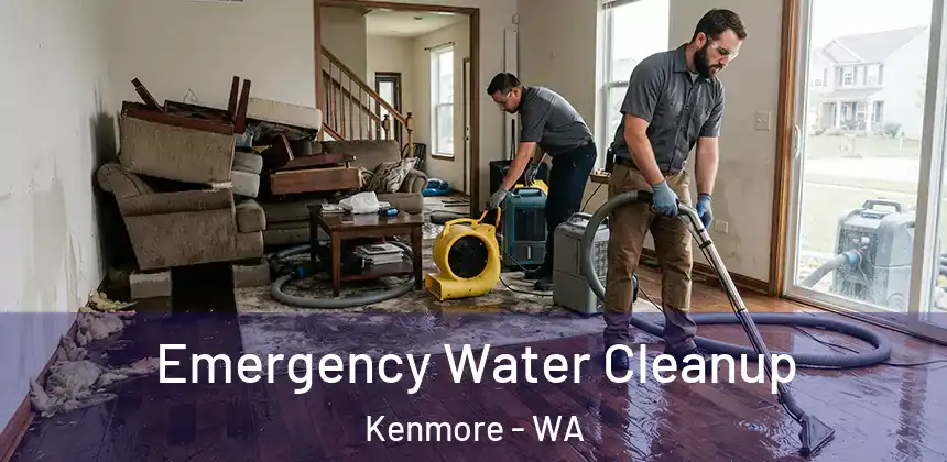  Emergency Water Cleanup Kenmore - WA