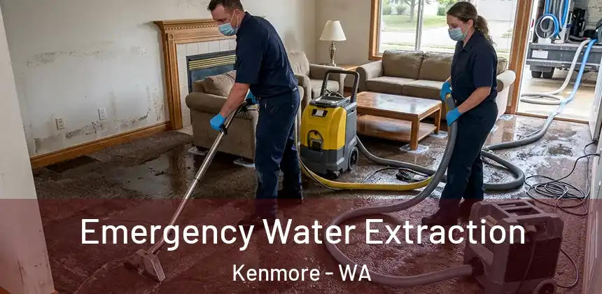  Emergency Water Extraction Kenmore - WA