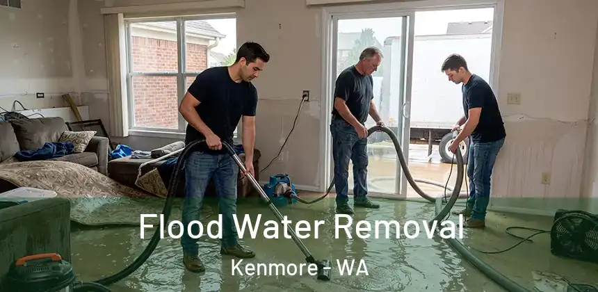  Flood Water Removal Kenmore - WA