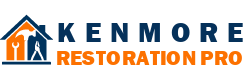 Kenmore Restoration Pro