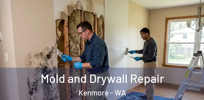 Mold and Drywall Repair Kenmore - WA