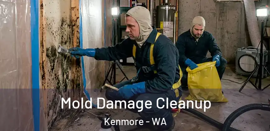  Mold Damage Cleanup Kenmore - WA