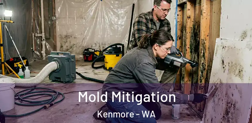 Mold Mitigation Kenmore - WA