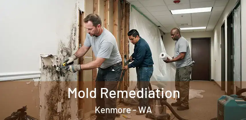  Mold Remediation Kenmore - WA