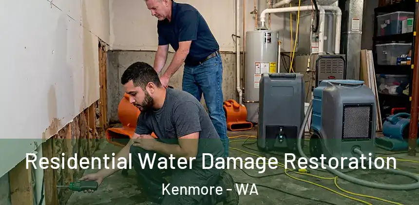 Residential Water Damage Restoration Kenmore - WA