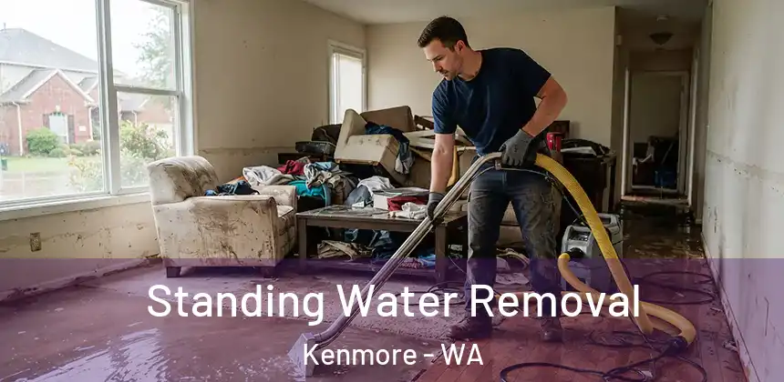 Standing Water Removal Kenmore - WA