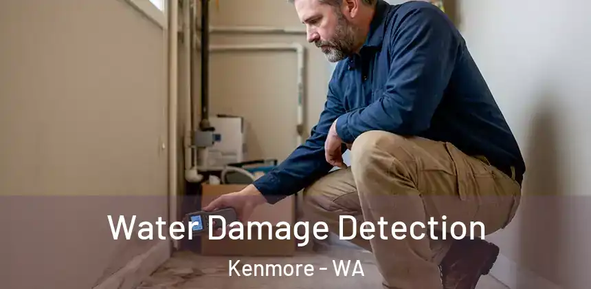  Water Damage Detection Kenmore - WA