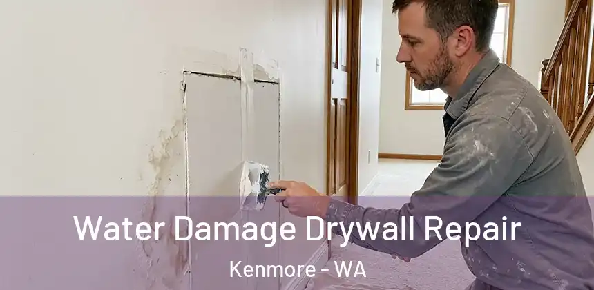 Water Damage Drywall Repair Kenmore - WA