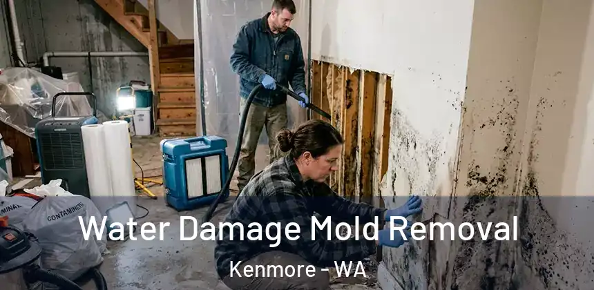  Water Damage Mold Removal Kenmore - WA