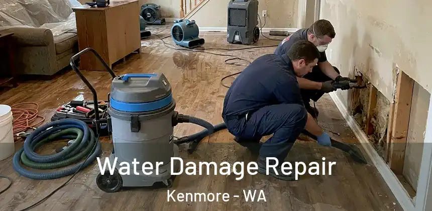  Water Damage Repair Kenmore - WA