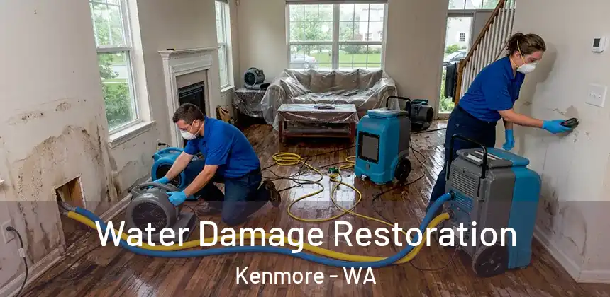  Water Damage Restoration Kenmore - WA