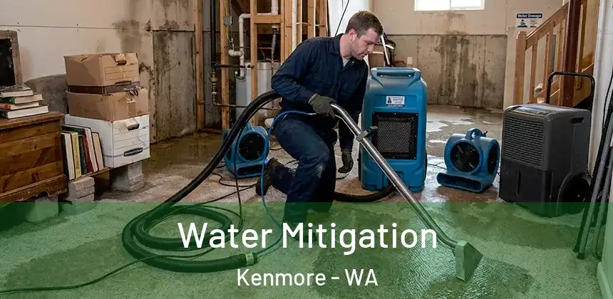 Water Mitigation Kenmore - WA