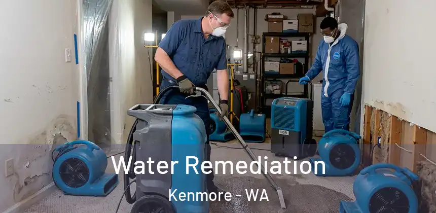  Water Remediation Kenmore - WA